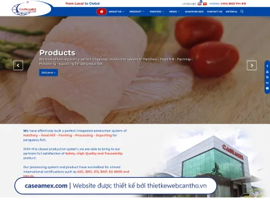 Thiết kế Web Giới Thiệu